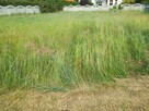 Sprzedam - 2
