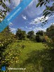 Domek w centrum Radomia – działka 964 m² z sadem i domkiem - 3