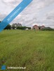 Działka budowlana - Dąbrowa Wielka - 4