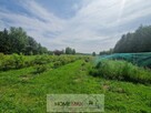 Działka budowlana Grzymalin gm. Miłkowice - 2