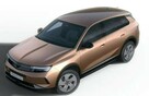 Opel Grandland GS 136KM eDCT6 Promo finansowanie !! OC/AC za 1% !! Od ręki !! - 4