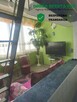 2-pokojowe mieszkanie z antresolą - 2