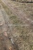 Działka budowlana Nadarzyn Urzut - 7