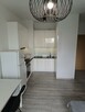 Do wynajęcia apartament dwupokojowy 37m2 - 9