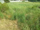 Sprzedam - 1