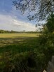 Działka blisko Gliwic w okolicy Pyskowic i Toszka 1040 m - 2