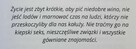 ŁOBUZ dla ŁOBUZIARY - 5