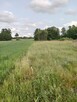Działka budowlana - Kłocko (blisko Reymonta) - 1