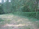 Piękna działka na Mazurach z linią brzegową - 2