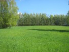 Piękna działka na Mazurach z linią brzegową - 3