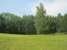 Piękna działka na Mazurach z linią brzegową - 8