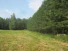 Piękna działka na Mazurach z linią brzegową - 9