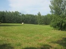 Piękna działka na Mazurach z linią brzegową - 10