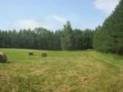Piękna działka na Mazurach z linią brzegową - 12