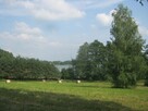 Piękna działka na Mazurach z linią brzegową - 14