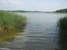 Piękna działka na Mazurach z linią brzegową - 15