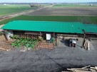 Lokal użytkowy  gm. Dąbrowa - 9