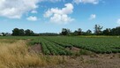 Działka budowlana Chrzanów gm. Kobierzyce - 4