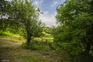 Dom drewniany- Tuchów- Małopolska - 4