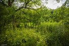 Dom drewniany- Tuchów- Małopolska - 5