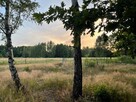 Działka z domem letniskowym w przepięknej okolicy - 3