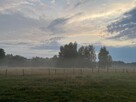 Działka z domem letniskowym w przepięknej okolicy - 5
