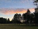 Działka leśna w pięknej okolicy - 5