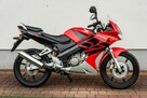 Honda CBR 125 2006 Raty Transport Największy Wybór Moto 125 MOTOSTAR - 2