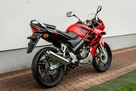 Honda CBR 125 2006 Raty Transport Największy Wybór Moto 125 MOTOSTAR - 3