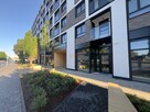 Lokal użytkowy Wrocław Stare Miasto, Stare Miasto, Braniborska - 1