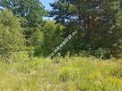 Działka 1825m2 z planem zagospodarowania Czarny La - 4