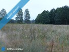 Działki rolno-budowlane  k. Płocka, Lipna - 10