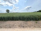 Działka budowlana Nowa Wieś, Rudunki, gm. Aleksandrów Kuj. - 8