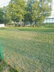 Działka w Regielnicy - 6
