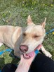 Fiona do adopcji - 3