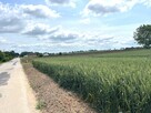 Działka budowlana Nowa Wieś, Rudunki, gm. Aleksandrów Kuj. - 5