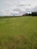 Działka budowlana - Dąbrowa Wielka - 1