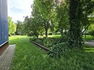 Mieszkanie dwupokojowe, Kalinowszczyzna - 4