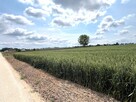 Działka budowlana Nowa Wieś, Rudunki, gm. Aleksandrów Kuj. - 6