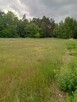 Działa budowlana ul. Wilcza (Reymonta) - 2
