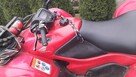 Honda TRX420 - 3