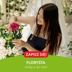 bezpłatna nauka - 6