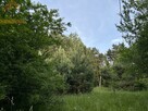 Działka budowlana Rydzynki gm. Tuszyn - 2