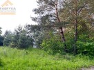 Działka budowlana Rydzynki gm. Tuszyn - 14