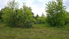 Działka inwestycyjna Myrcha gm. Wiśniew, - 4
