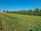 Działka inwestycyjna Rabowice gm. Swarzędz, - 2