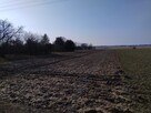 Działka rolno-budowlana - 4