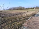 Działka rolno-budowlana - 5
