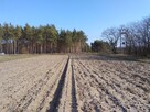 Działka rolno-budowlana - 6