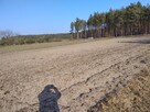 Działka rolno-budowlana - 7